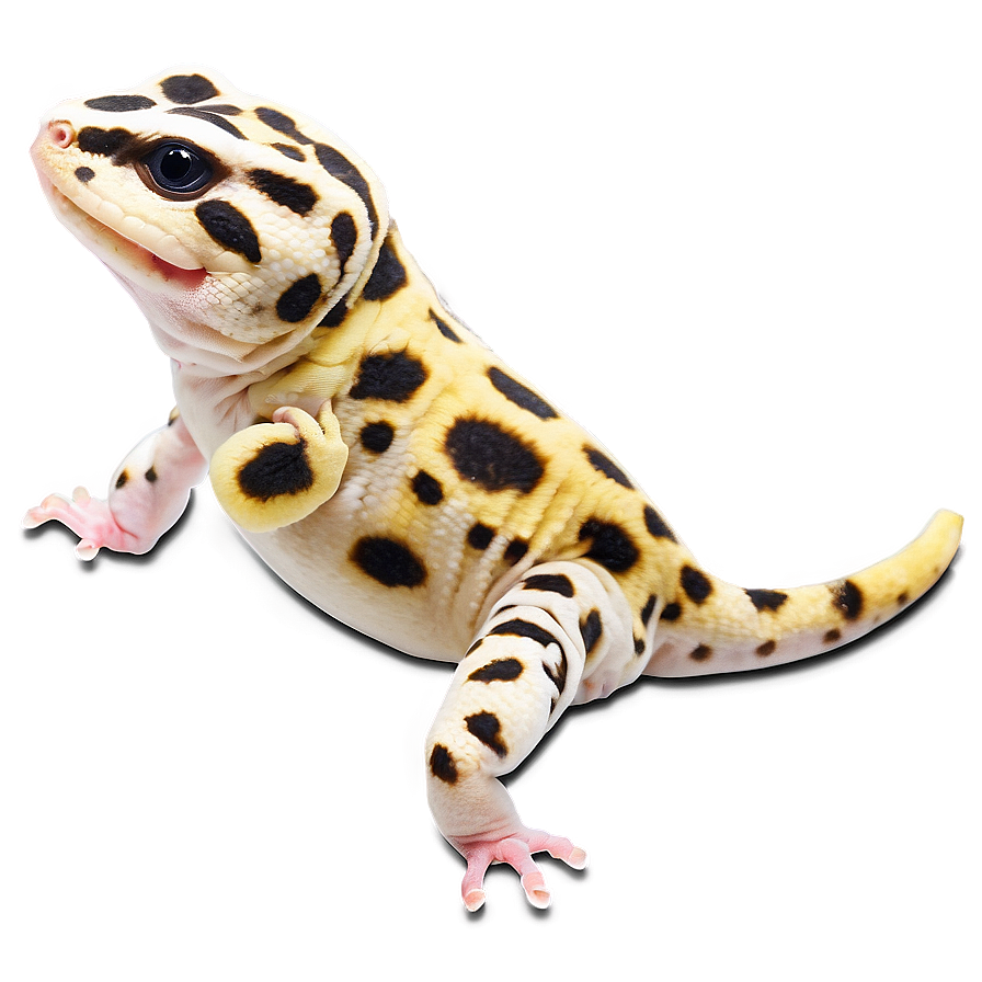 Happy Leopard Gecko Png Rdh PNG Image