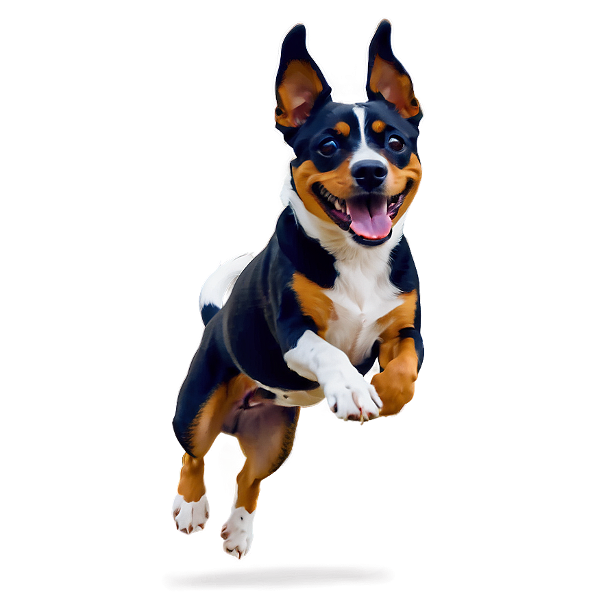 Happy Small Dog Jumping Png Ihp PNG Image