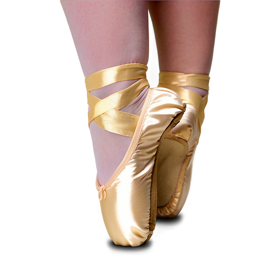 Hard Shank Pointe Shoes Png Xgl44 PNG Image