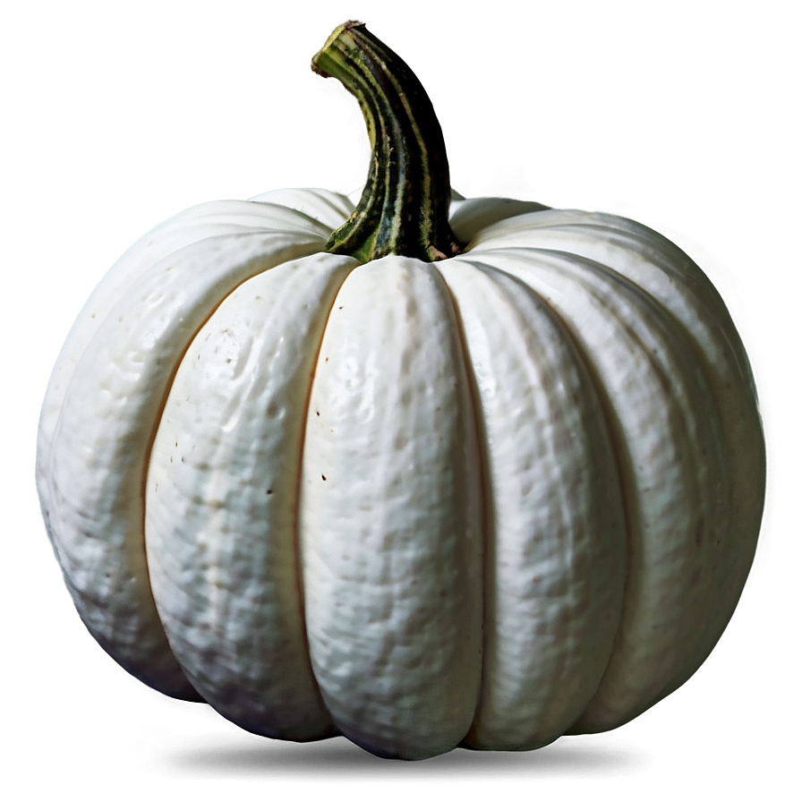 Harvest White Pumpkin Png 62 PNG Image