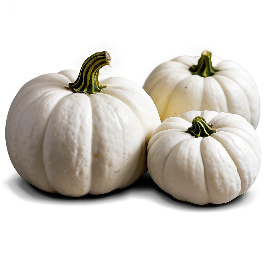 Harvest White Pumpkin Png Cnn PNG Image