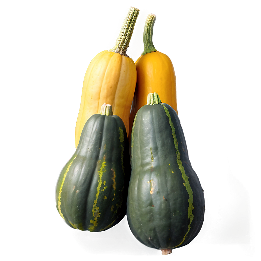 Harvested Squash Png 06122024 PNG Image