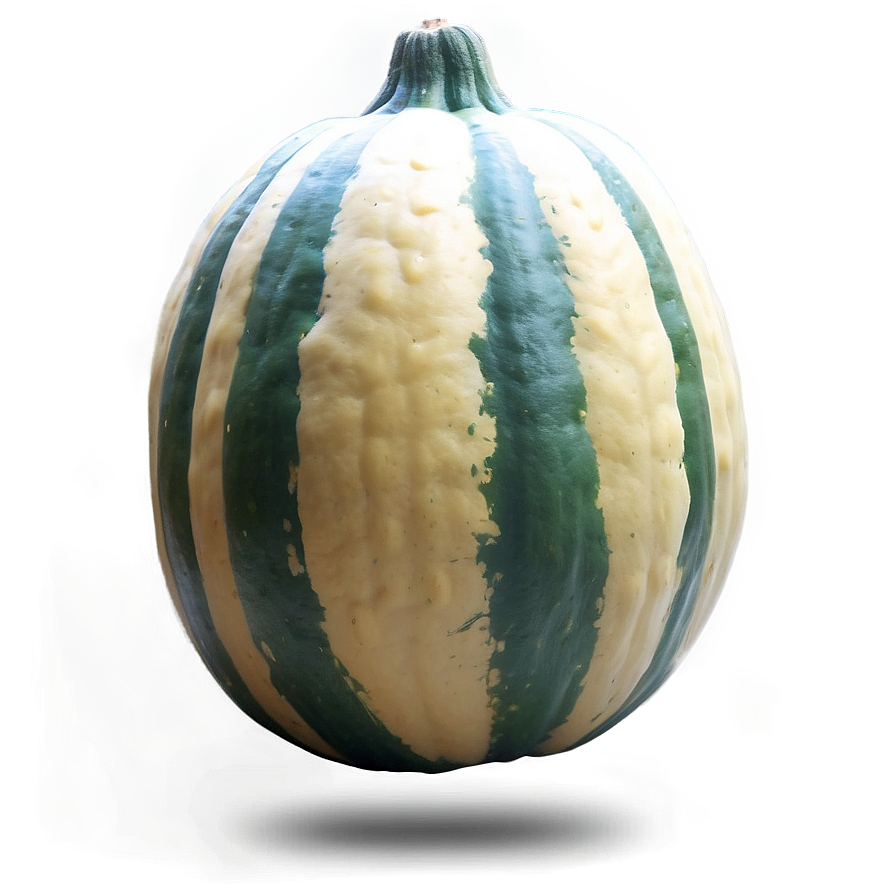 Harvested Squash Png 42 PNG Image