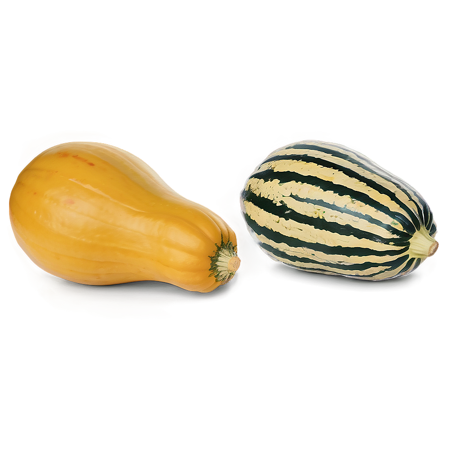 Harvested Squash Png Dyg PNG Image