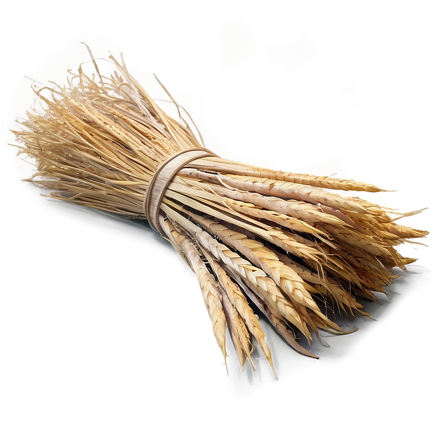 Harvested Trigo Sheaves Png Jho PNG Image