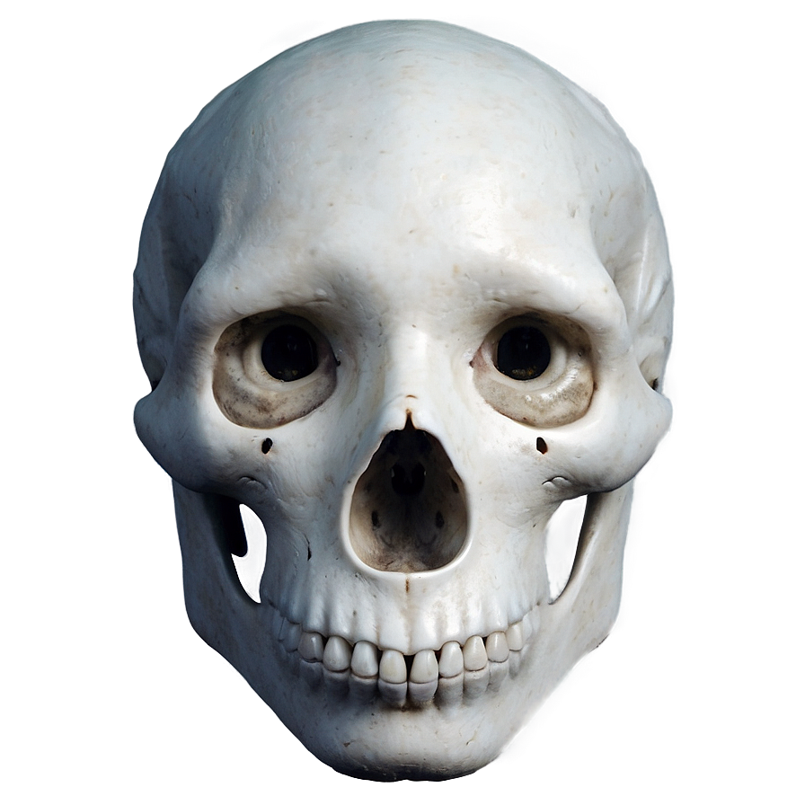 Hauntingly Beautiful Png 6 PNG Image