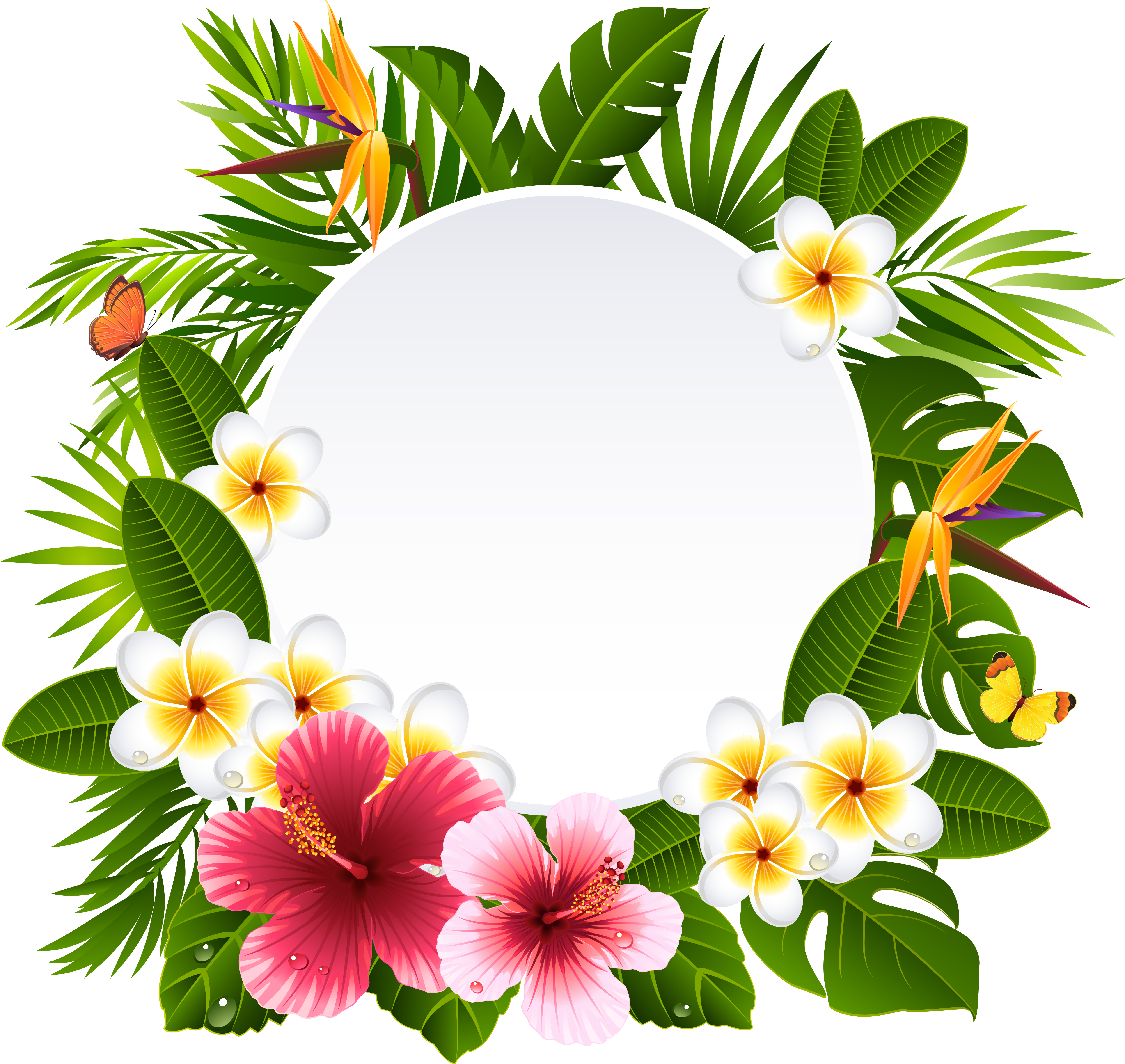 Hawaiian_ Floral_ Frame_ Vector PNG Image