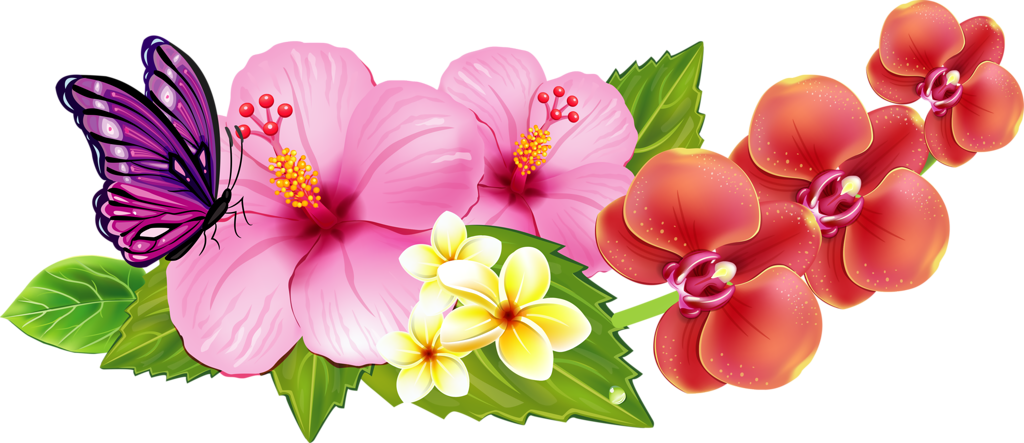 Hawaiian_ Flowers_and_ Butterfly PNG Image