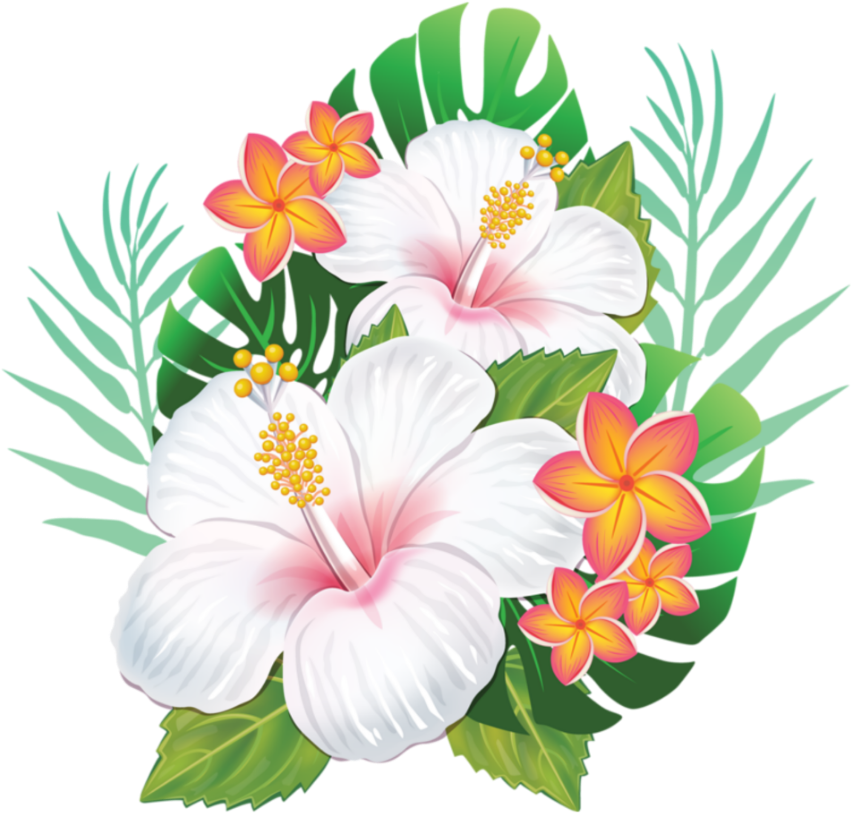 Hawaiian_ Hibiscus_and_ Plumeria_ Floral_ Arrangement PNG Image