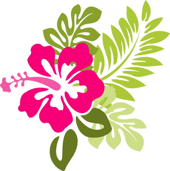 Hawaiian_ Hibiscus_ Floral_ Vector PNG Image