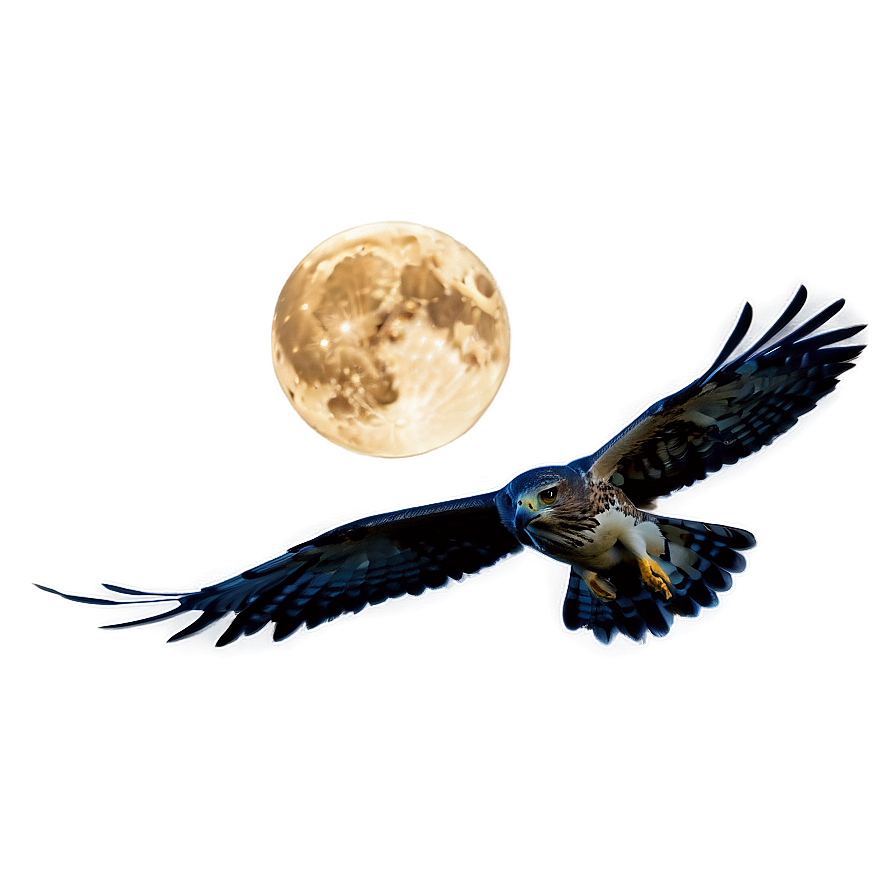 Hawk In Moonlight Png 29 PNG Image