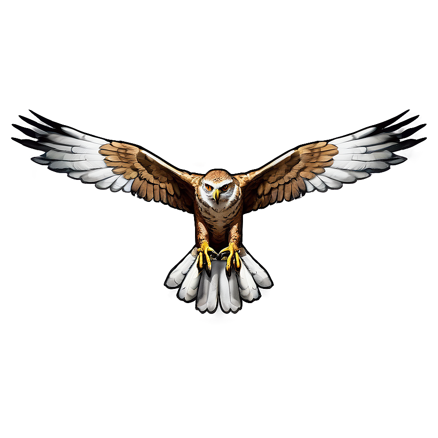 Hawk Inspired Mythical Creature Png Rbn24 PNG Image