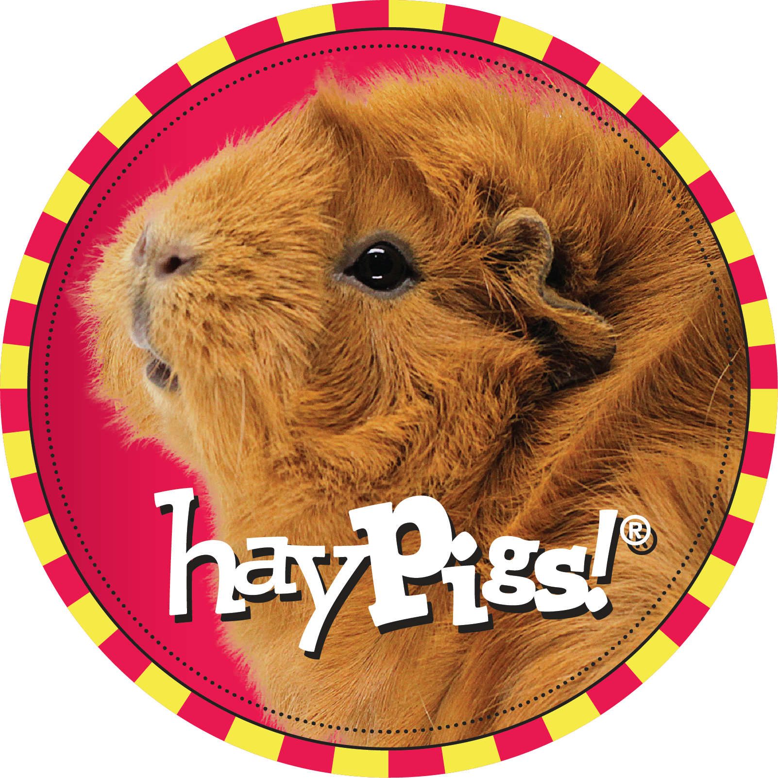 Hay Pigs Guinea Pig Circle Logo PNG Image