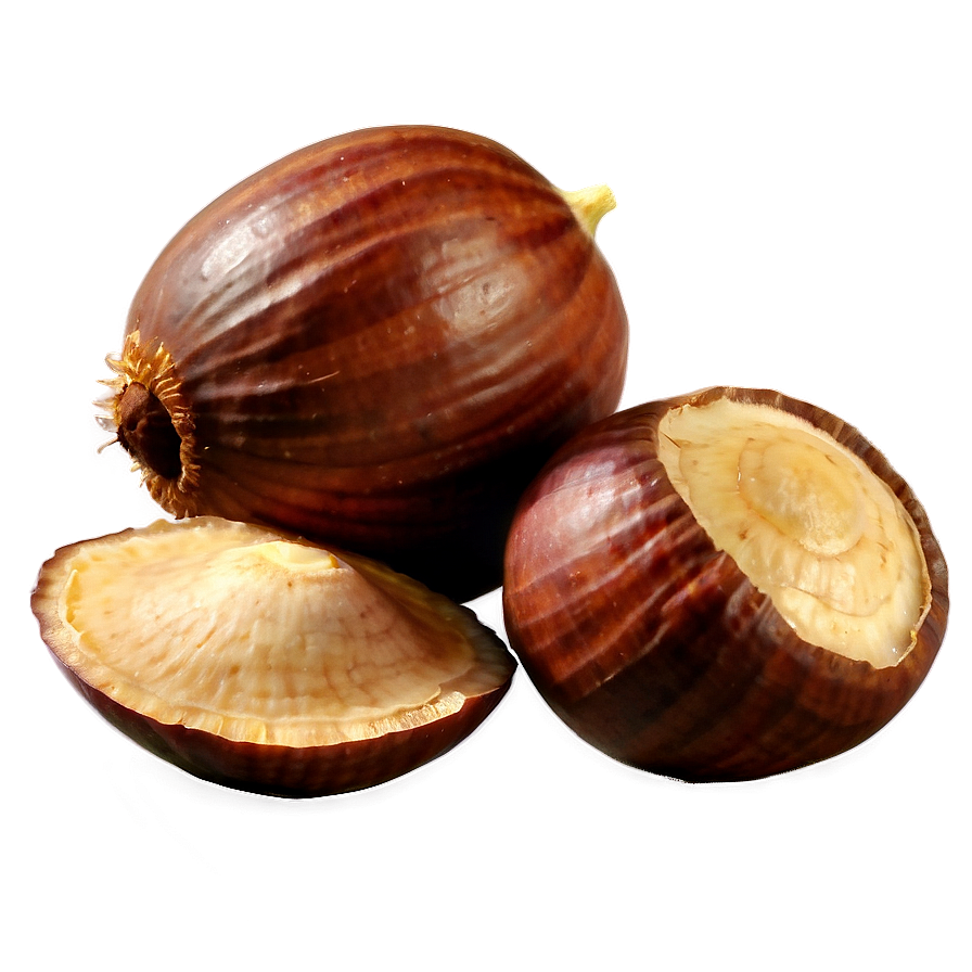 Hazelnut Png Ump73 PNG Image