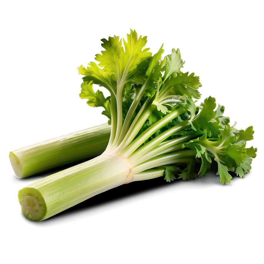 Healthy Celery Png Bgu PNG Image