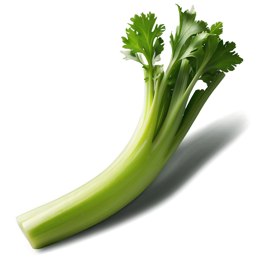 Healthy Celery Png Hwb98 PNG Image