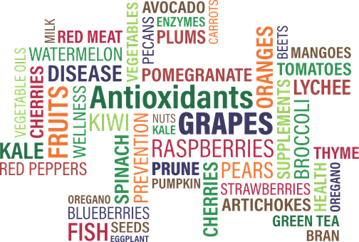 Healthy Food Antioxidants Word Cloud PNG Image