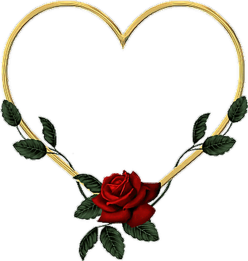 Heart Shaped Rose Frame PNG Image