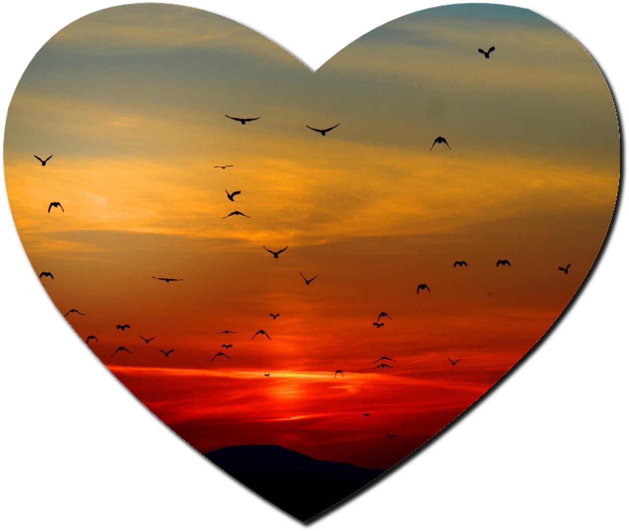 Heart Shaped Sunset With Birds PNG Image