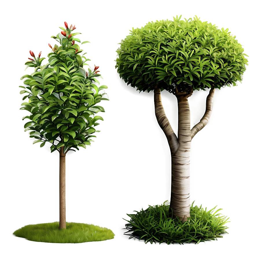 Hedge Shrubs Png Byx PNG Image