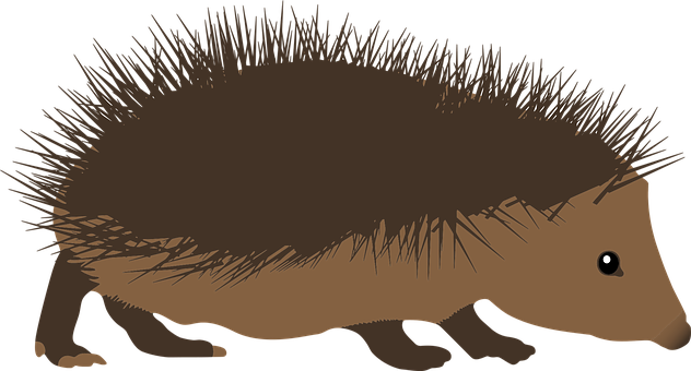 Hedgehog Silhouette Illustration PNG Image