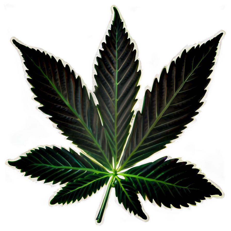 Hemp Leaf Closeup Png Iuw3 PNG Image