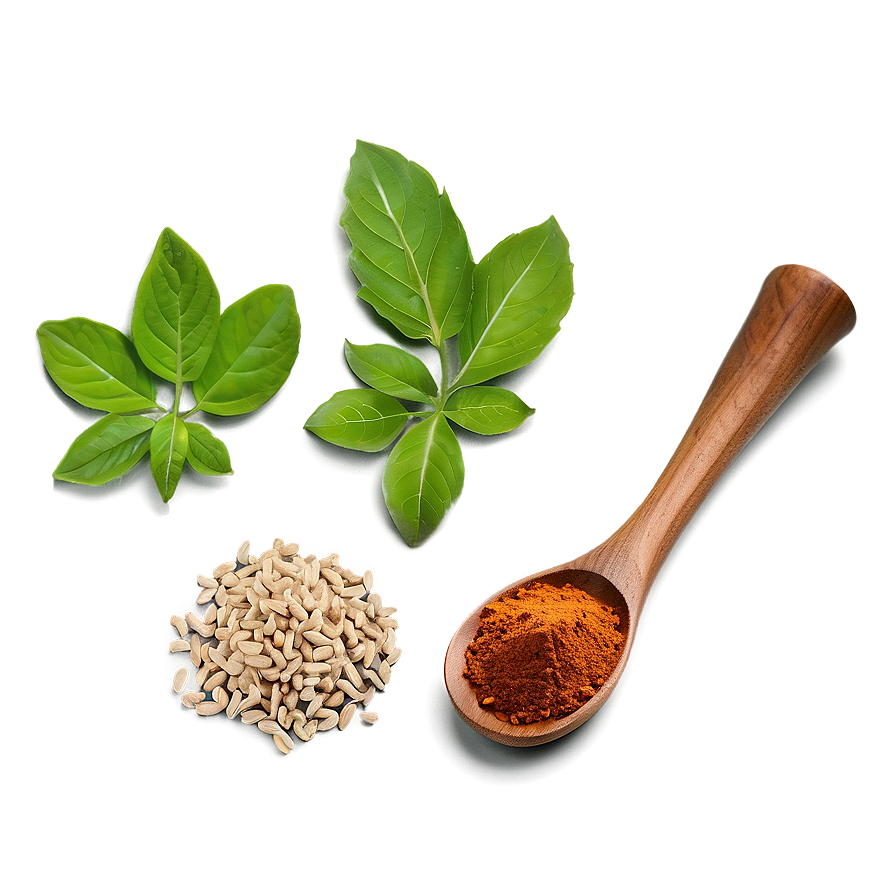 Herb And Spice Png 55 PNG Image