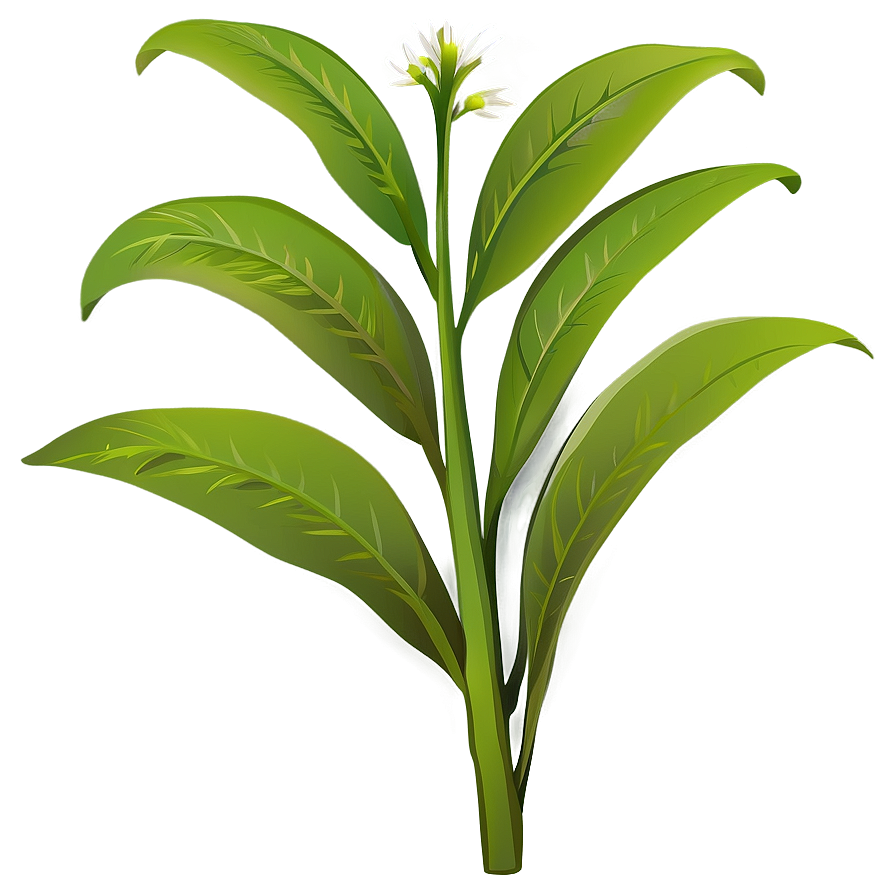 Herbal Plant Clipart Png Ore18 PNG Image