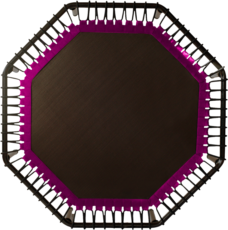 Hexagonal Trampoline Top View.png PNG Image