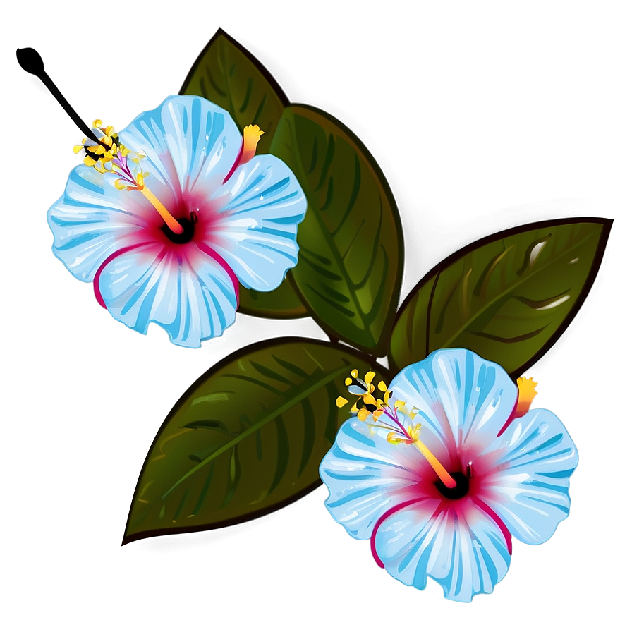 Hibiscus Clipart Png 05232024 PNG Image