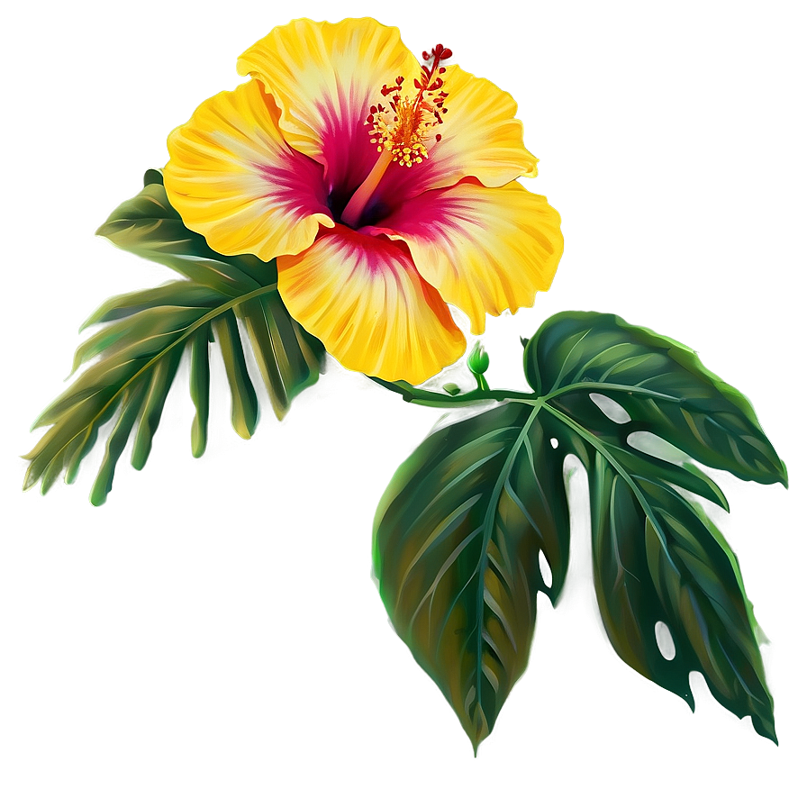 Hibiscus Flower Png Bli98 PNG Image