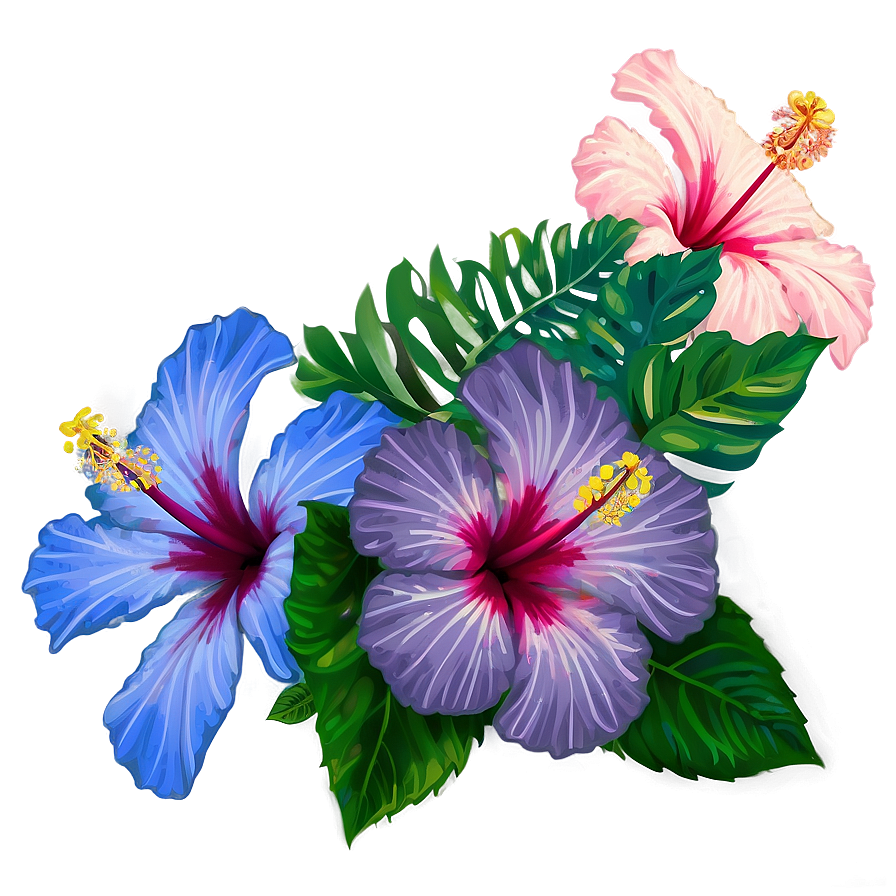 Hibiscus Flower Png Ehs PNG Image