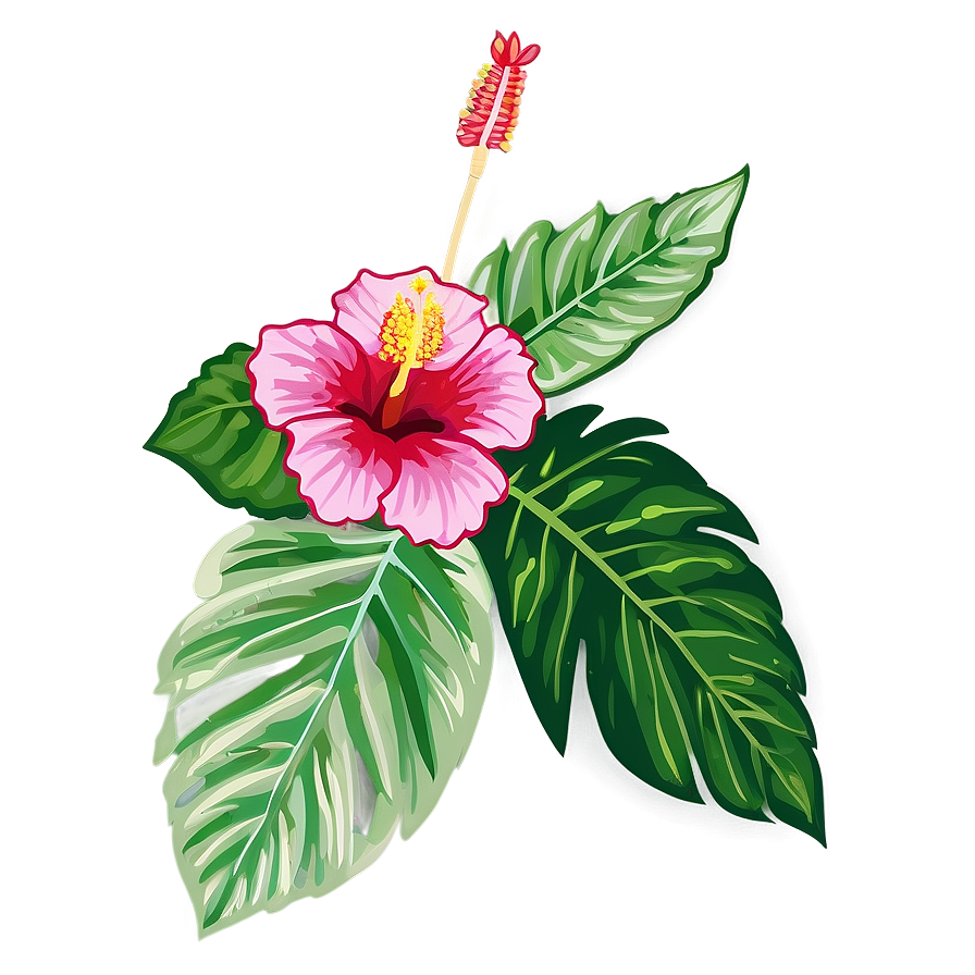 Hibiscus Outline Png Wkw PNG Image