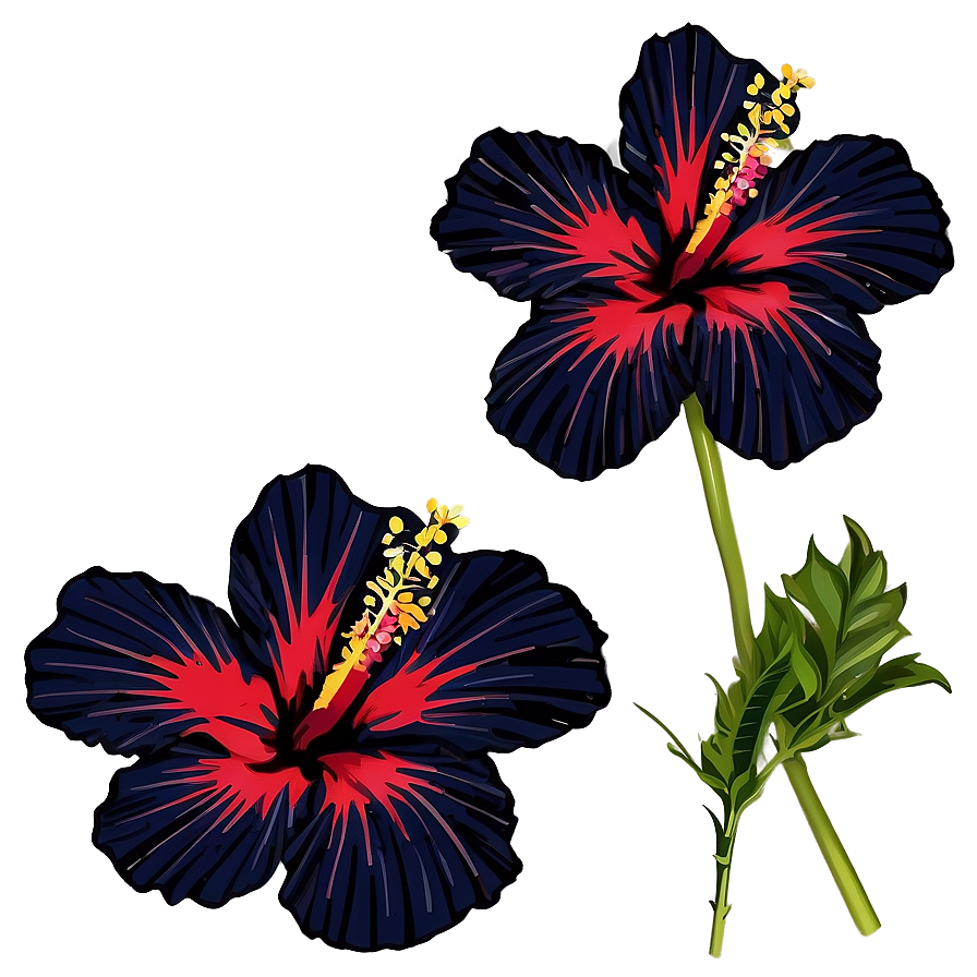 Hibiscus Silhouette Png Akd69 PNG Image