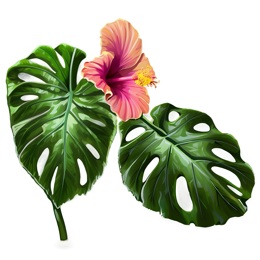 Hibiscus Sketch Png 74 PNG Image