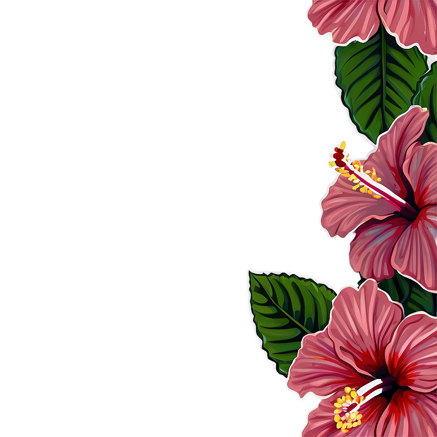 Hibiscus Sketch Png 8 PNG Image