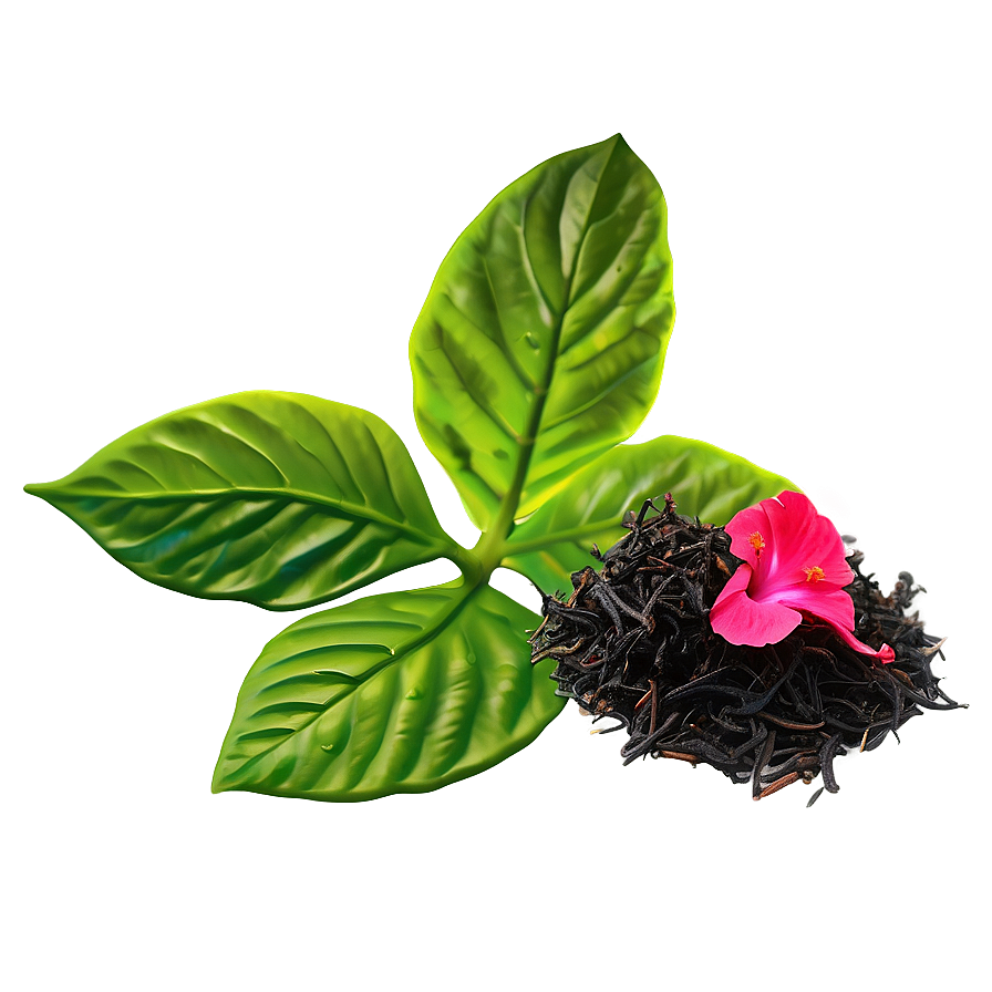 Hibiscus Tea Leaf Png 22 PNG Image