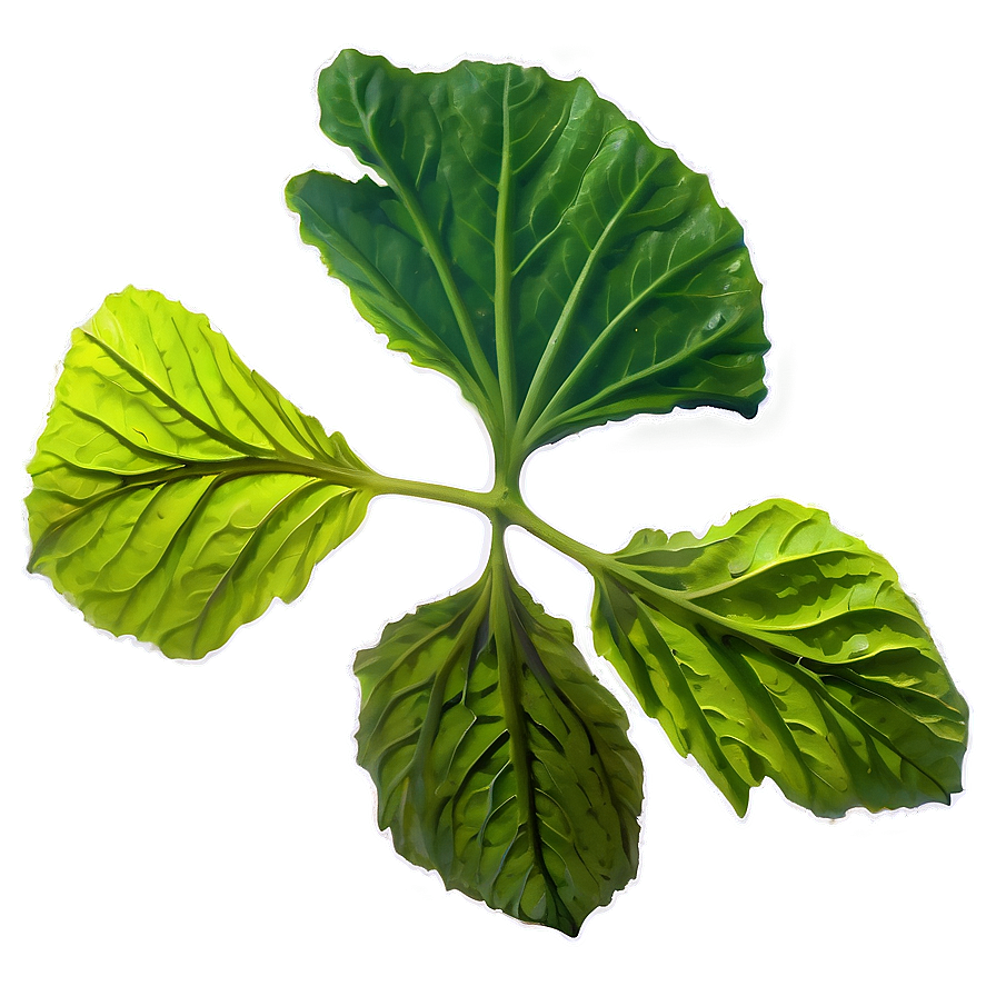 Hibiscus Tea Leaf Png Qwc40 PNG Image