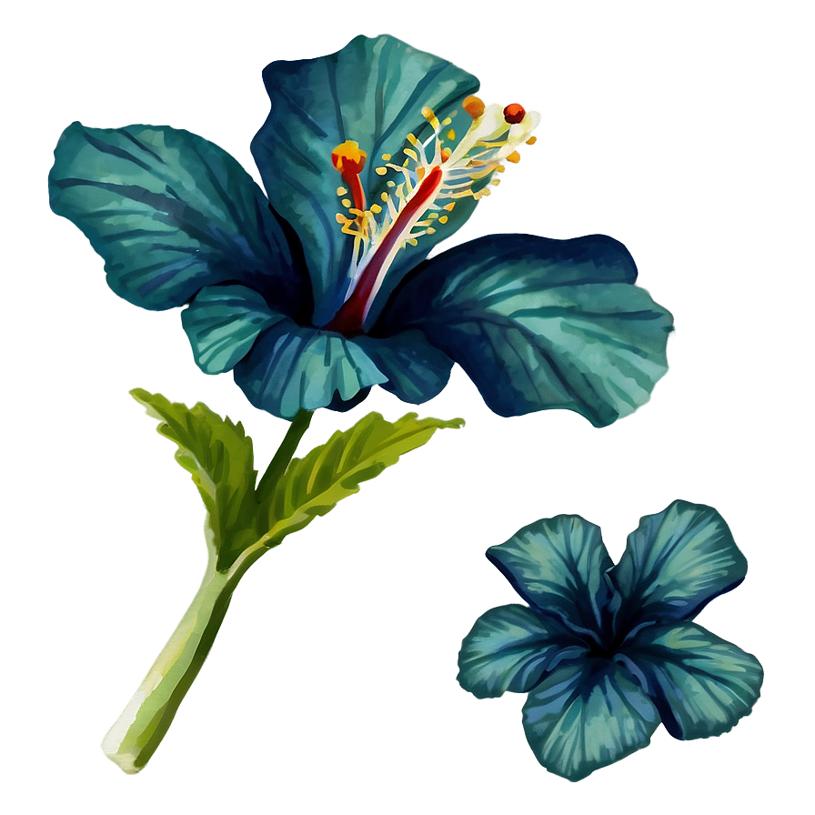 Hibiscus Watercolor Png 05232024 PNG Image