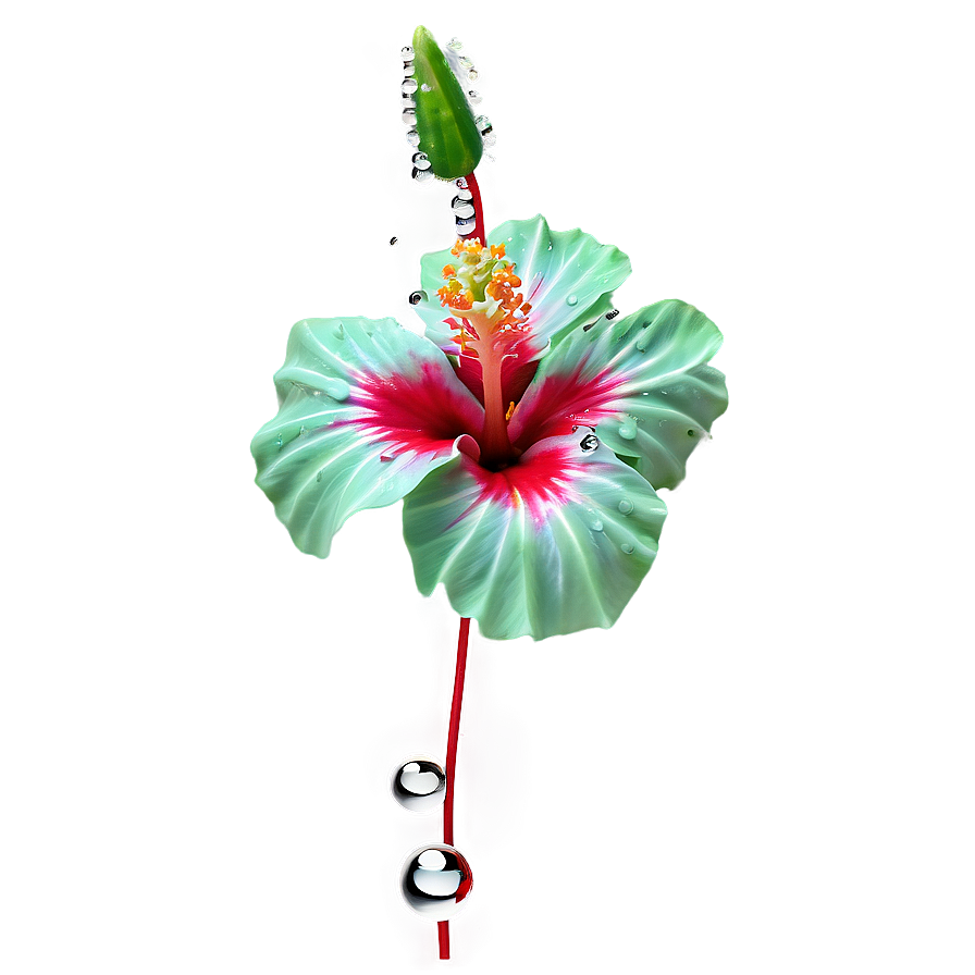 Hibiscus With Dew Png 05232024 PNG Image