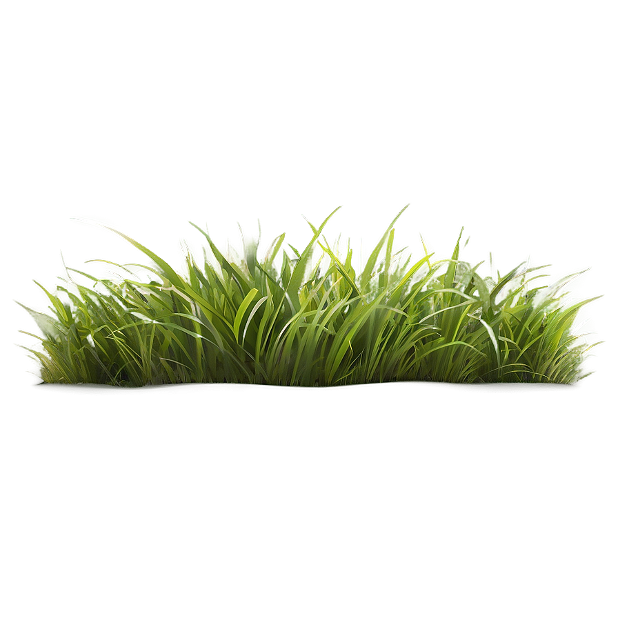 High Quality Grass Clipart Png Rkc35 PNG Image