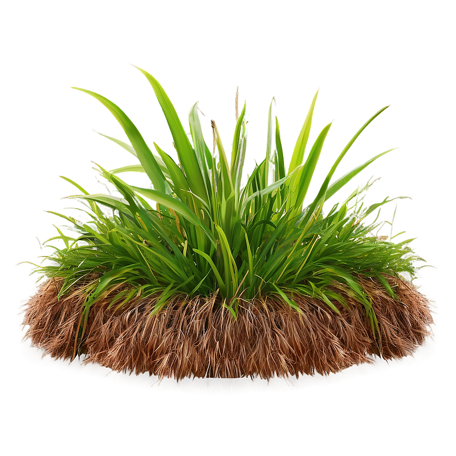 High-quality Green Grass Png 06262024 PNG Image