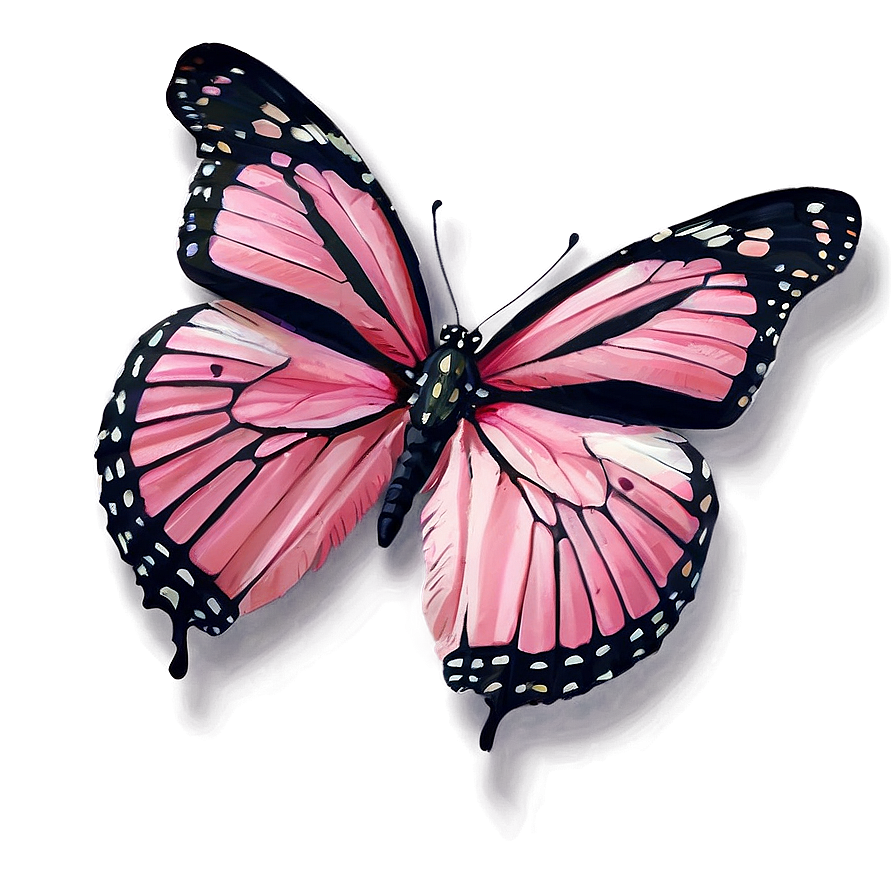 High-resolution Pink Butterfly Png 06212024 PNG Image