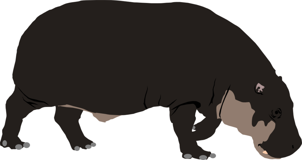 Hippopotamus Standing Profile PNG Image