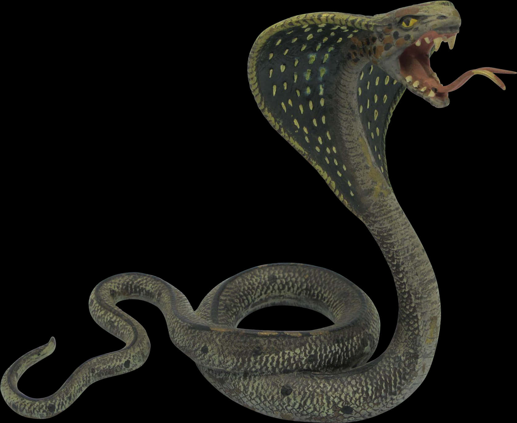 Hissing Snake Black Background PNG Image