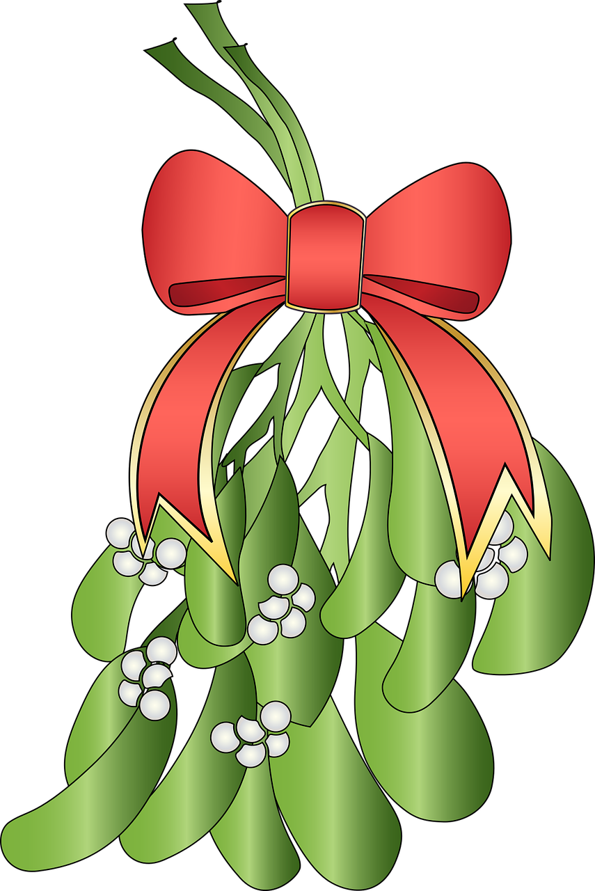 Holiday Mistletoe Illustration PNG Image