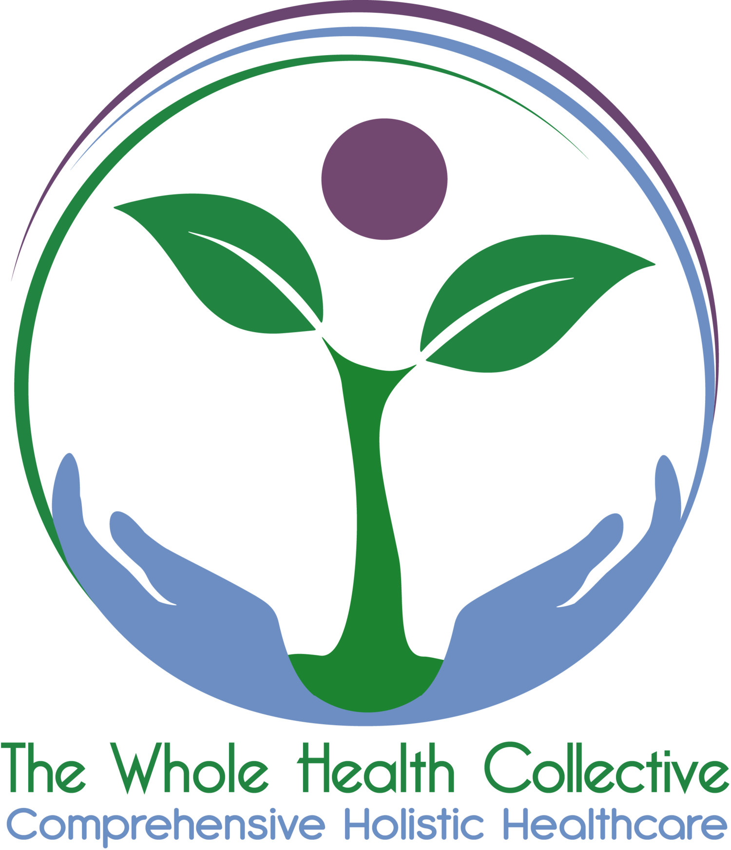 Holistic Healthcare Logo PNG Image