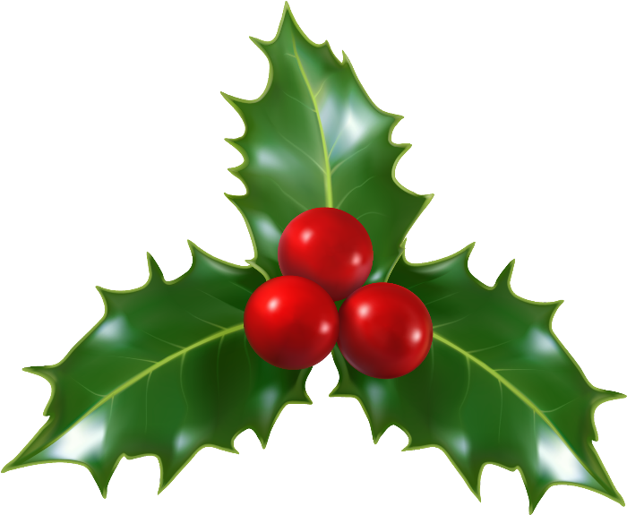 Holly Berries Illustration PNG Image