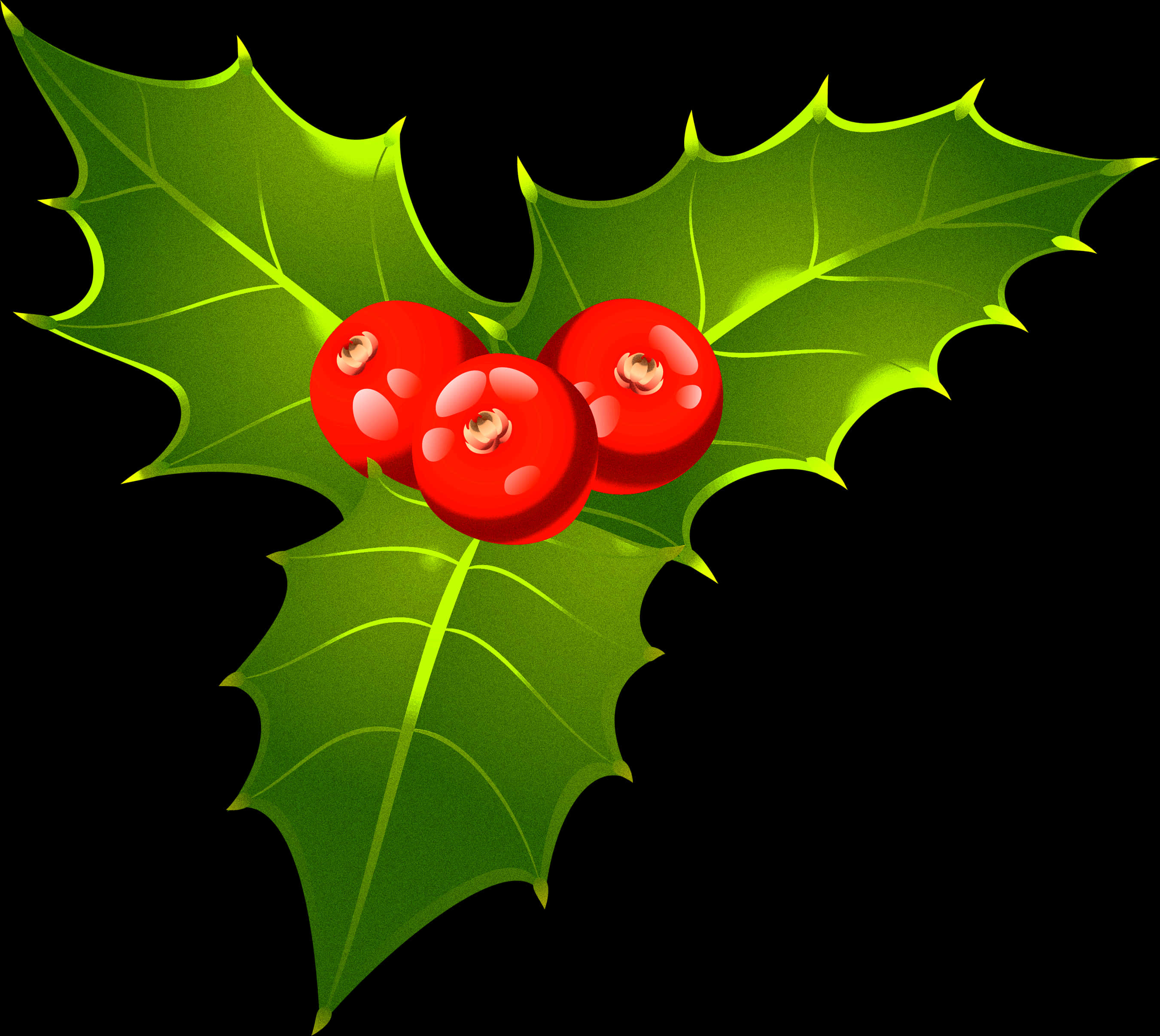 Holly Berries Leaf Clipart PNG Image