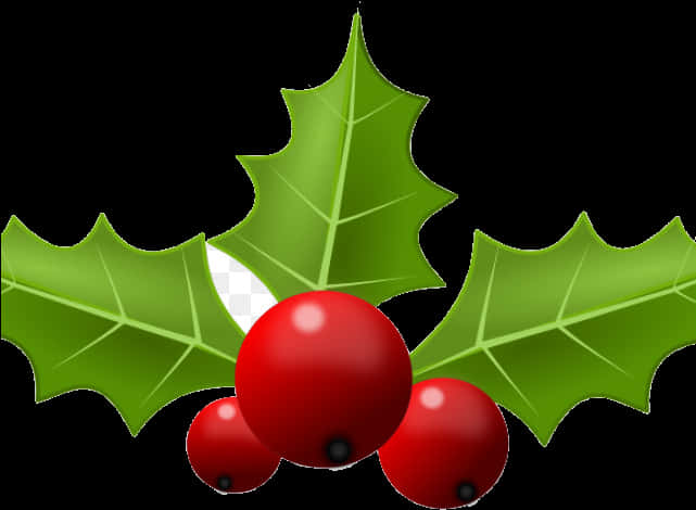 Holly Leaves Berries Clipart PNG Image